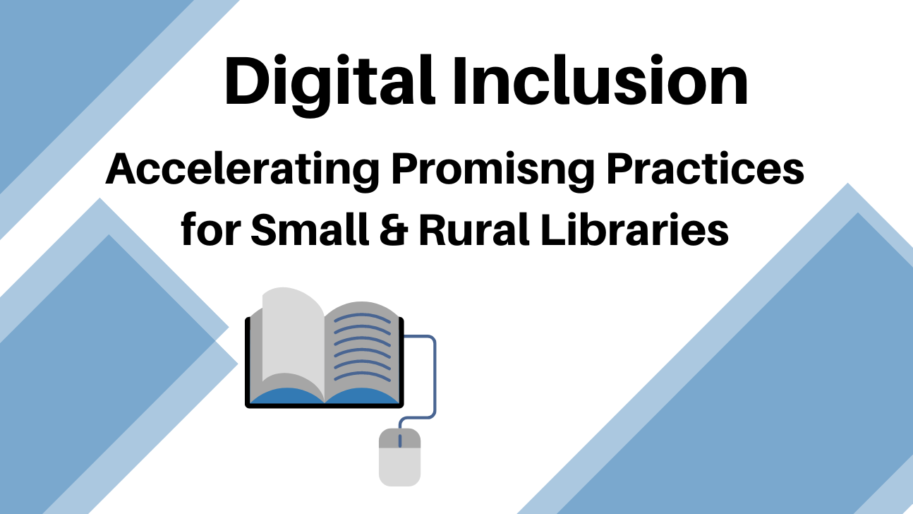 Digital Inclusion Archive